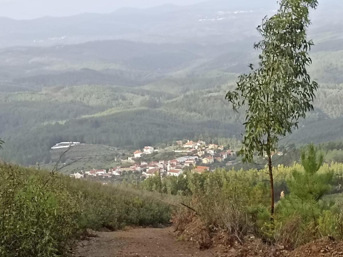 Casa Xara Appartement Proença-a-Nova Buitenkant foto